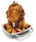 Broil King Chicken Roaster With Pan - 69133