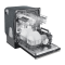 24” Forno Pozzo Dishwasher Black With additional Antique Brass handles - FDWBI8067-24BLK