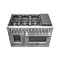 48″  Forno Massimo Freestanding French Door Dual Fuel Range - FFSGS6325-48