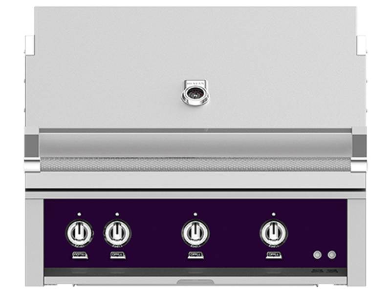 36" Hestan Outdoor Built-In Grill With Natural Gas in Lush - GABR36-NG-PP