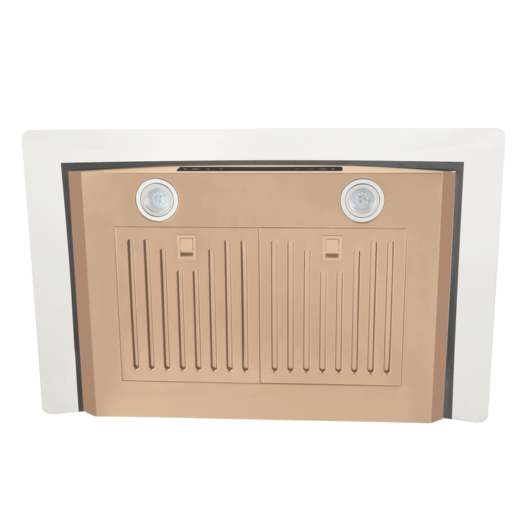 30" Vesta Amsterdam 800 CFM Wall Mount Range Hood in Gold Stainless Steel  - VRH-AMSTERDAM-30GS