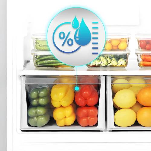 30" Vesta Whitehorse Top-Freezer Refrigerator in Stainless Steel - VRF-WHITEHORSE-30SS