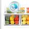 30" Vesta Whitehorse Top-Freezer Refrigerator in Stainless Steel - VRF-WHITEHORSE-30SS